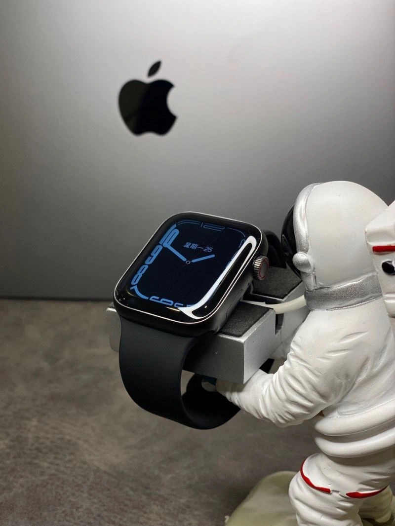 APPLE Watches Timeless 177041