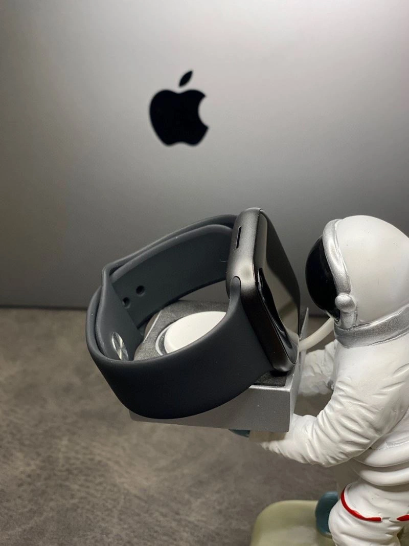 APPLE Watches Timeless 177041