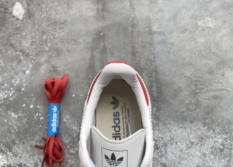 Adidas Samba Shoes GoAnywhere 16064