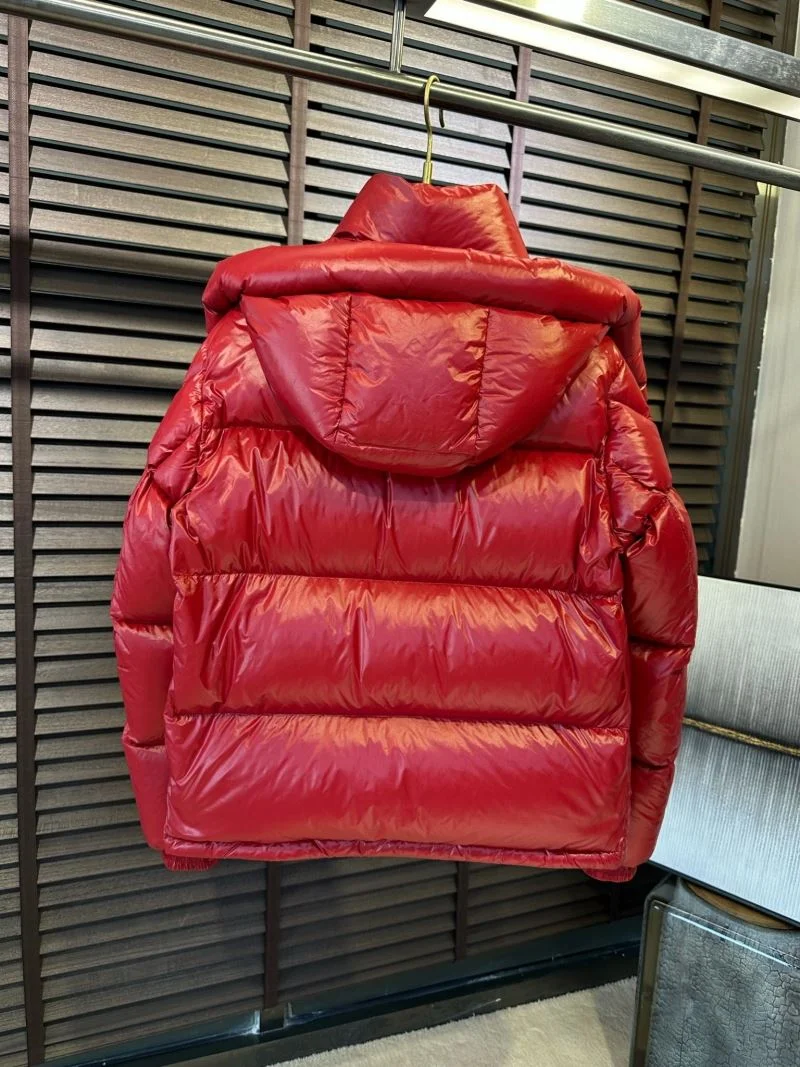 Alexander Mcqueen Down Jackets Modern 164863
