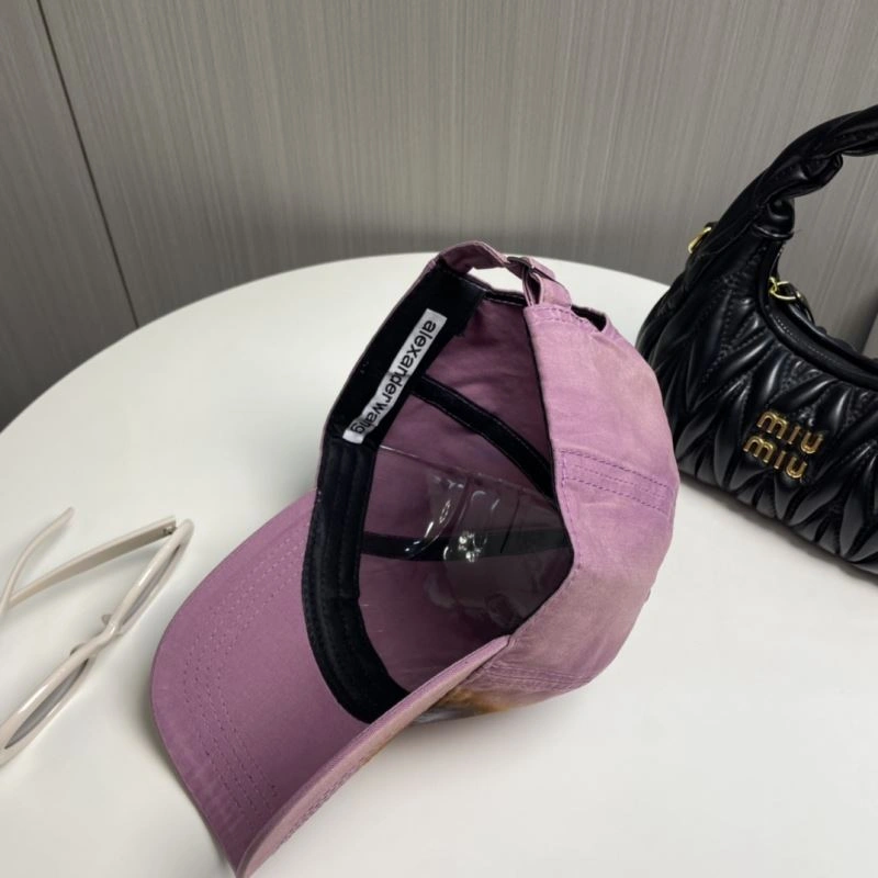 Unique Alexander Wang Caps 261080