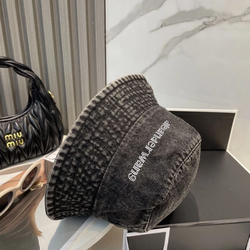 TechFriendly Alexander Wang Caps 261070