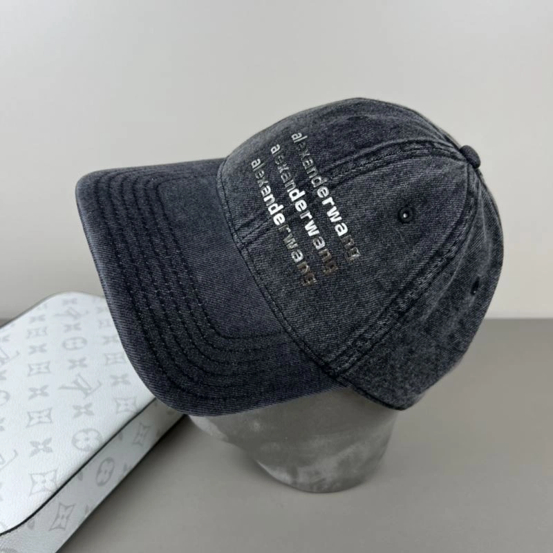 Affordable Alexander Wang Caps 261058