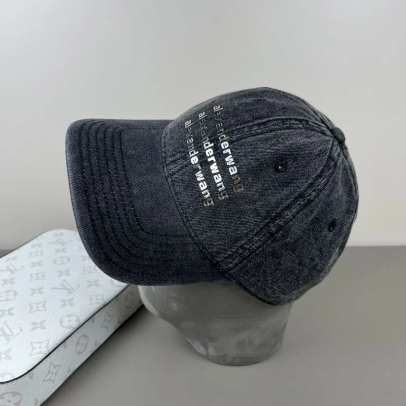Affordable Alexander Wang Caps 261058