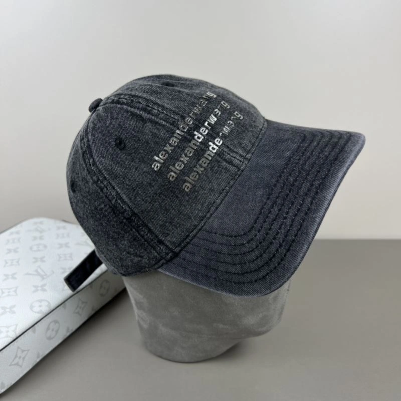 Affordable Alexander Wang Caps 261058