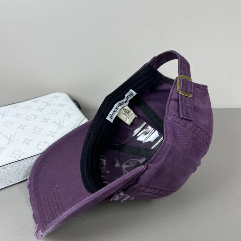 Casual Alexander Wang Caps 261072