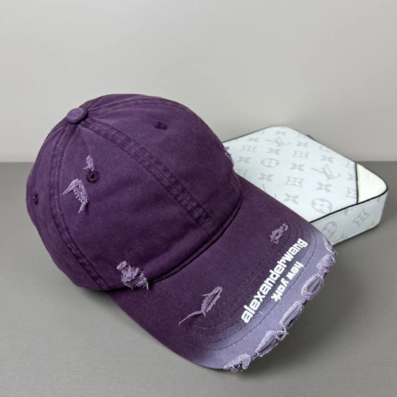 Casual Alexander Wang Caps 261072