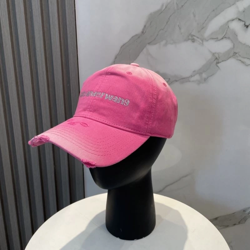 Cozy Alexander Wang Caps 261052