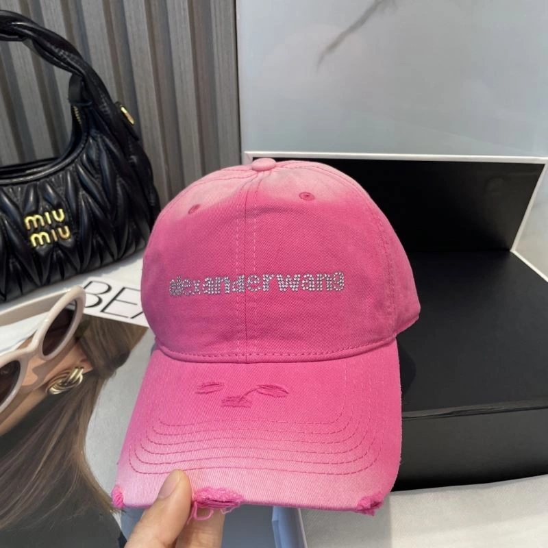 Cozy Alexander Wang Caps 261052