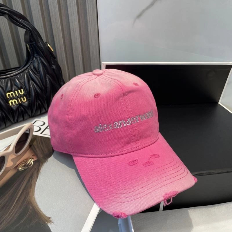 Cozy Alexander Wang Caps 261052