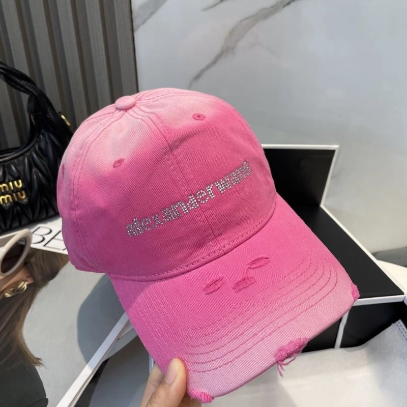 Cozy Alexander Wang Caps 261052
