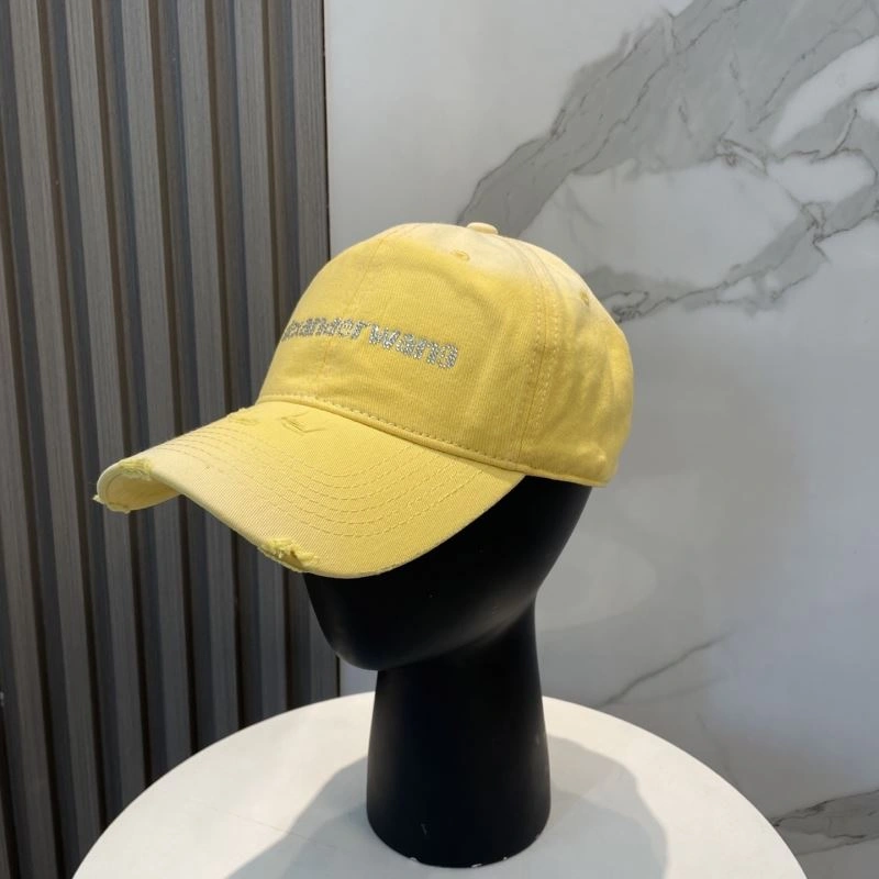 Alexander Wang Caps HighQuality 261050