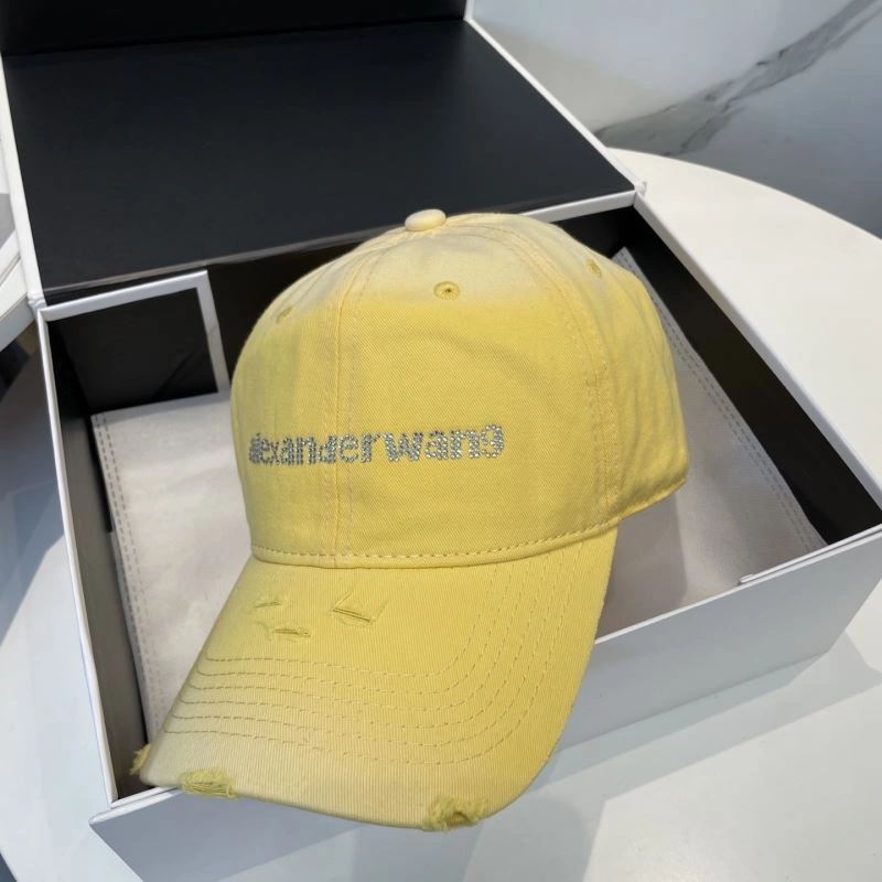 Alexander Wang Caps HighQuality 261050