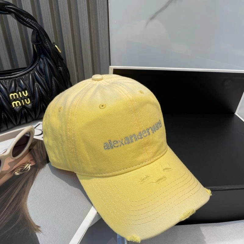 Alexander Wang Caps HighQuality 261050