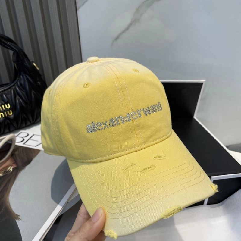 Alexander Wang Caps HighQuality 261050