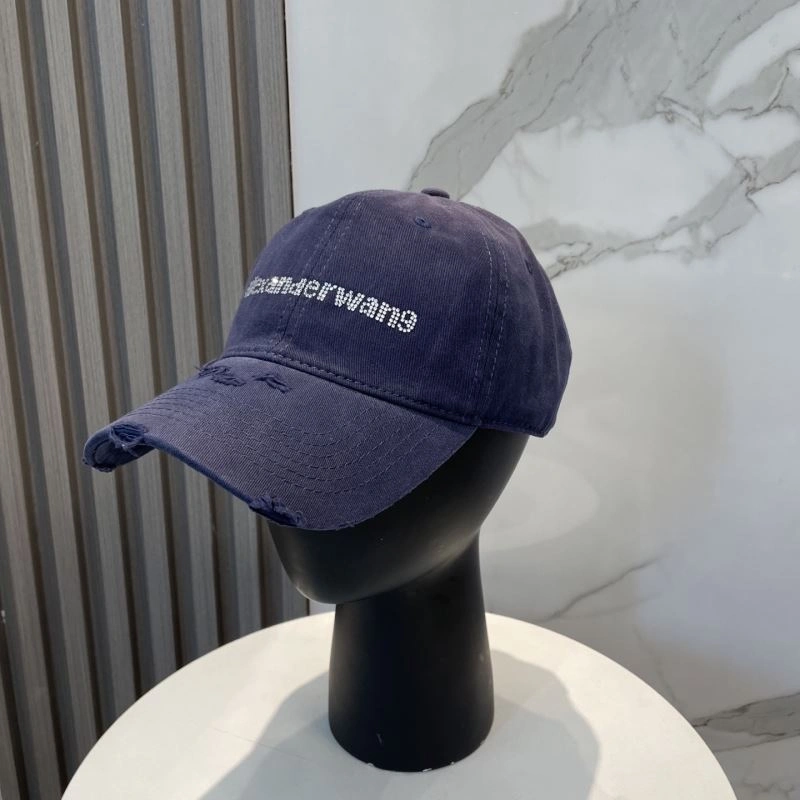 Resilient Alexander Wang Caps 261037