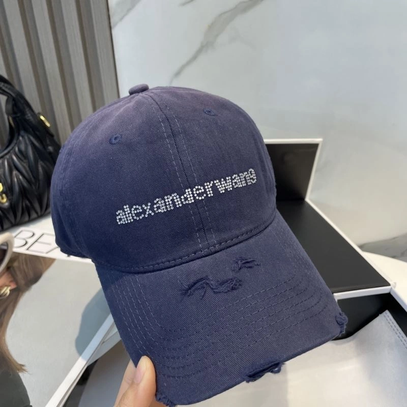 Resilient Alexander Wang Caps 261037