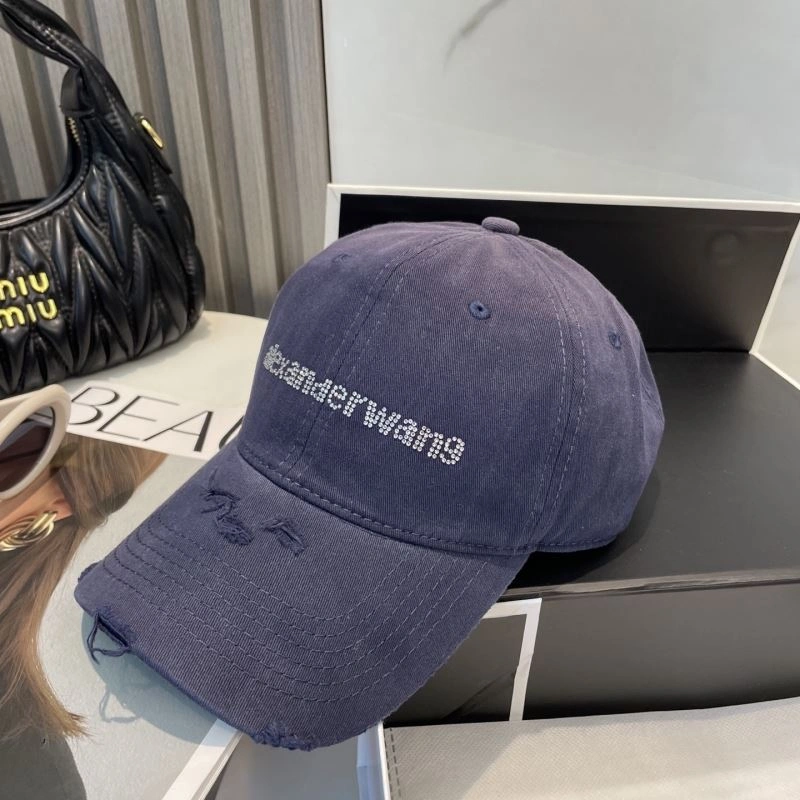 Resilient Alexander Wang Caps 261037