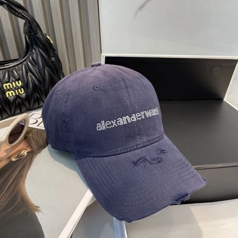 Resilient Alexander Wang Caps 261037