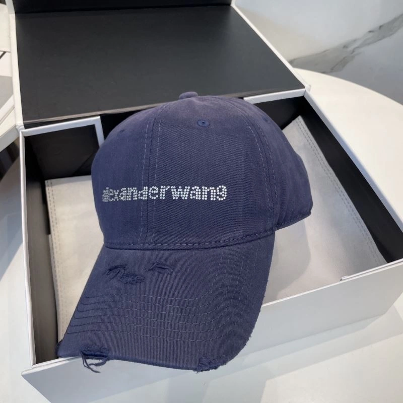 Resilient Alexander Wang Caps 261037