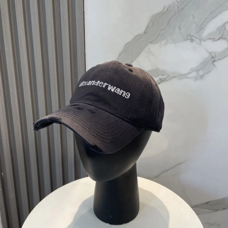 Timeless Alexander Wang Caps 261024