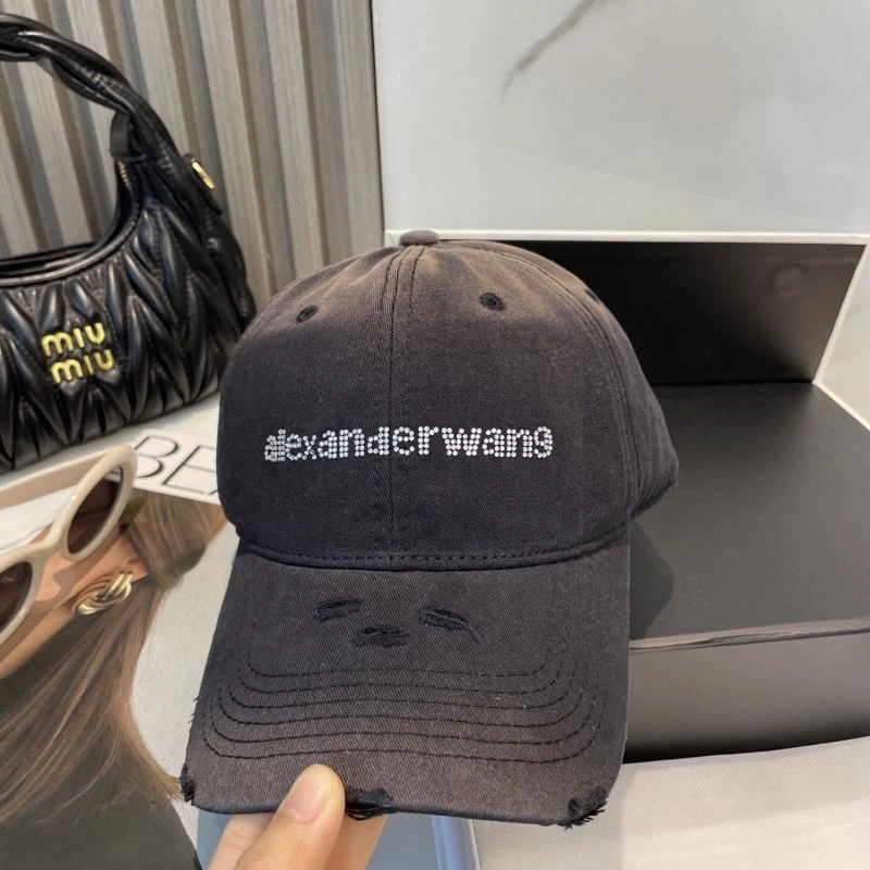 Timeless Alexander Wang Caps 261024