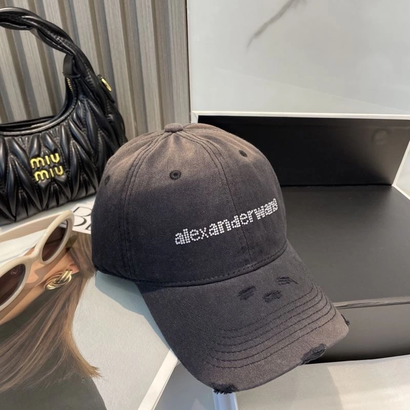 Timeless Alexander Wang Caps 261024