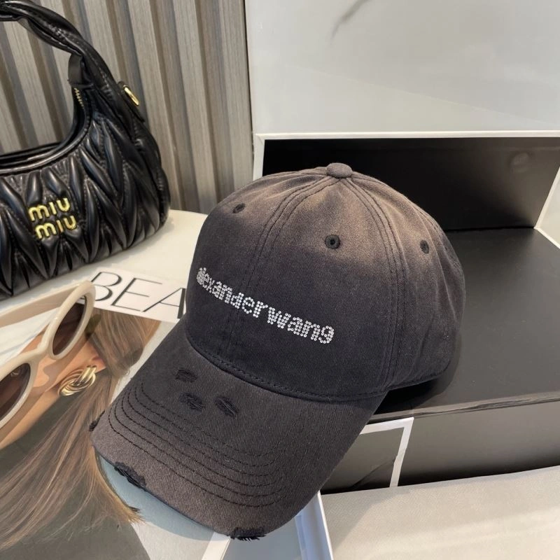 Timeless Alexander Wang Caps 261024