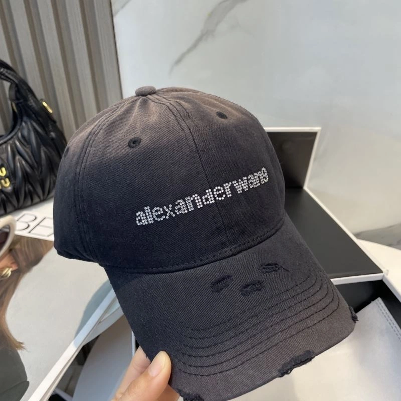 Timeless Alexander Wang Caps 261024