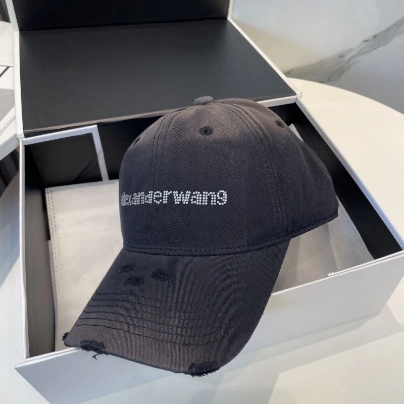 Timeless Alexander Wang Caps 261024
