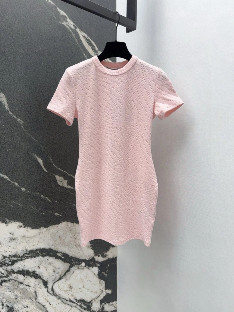 Packable Alexander Wang Dress 95155
