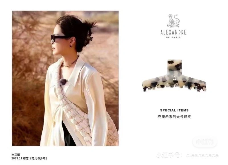 Alexander Wang Hairpins Original 212470