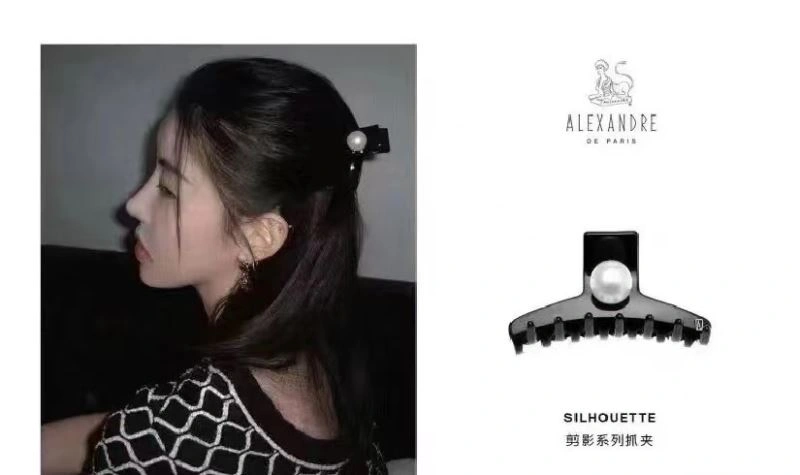 Alexander Wang Hairpins Sophisticated 211431