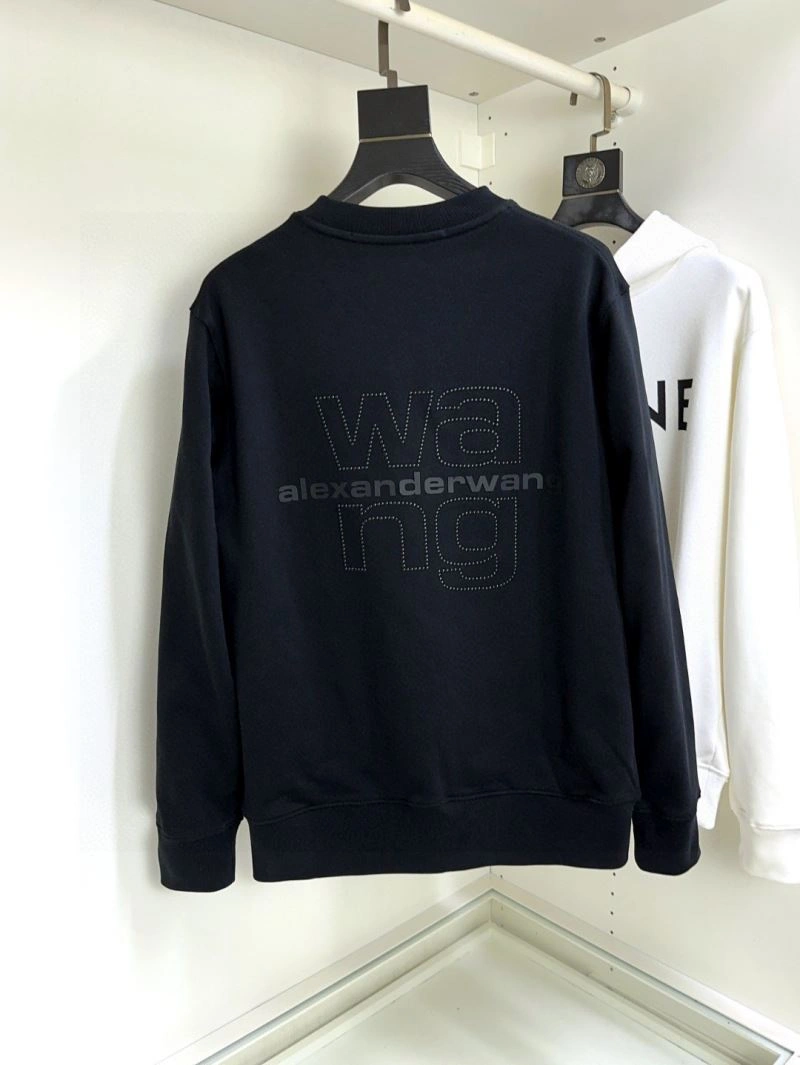 Alexander Wang Hoodies Colorful 95354