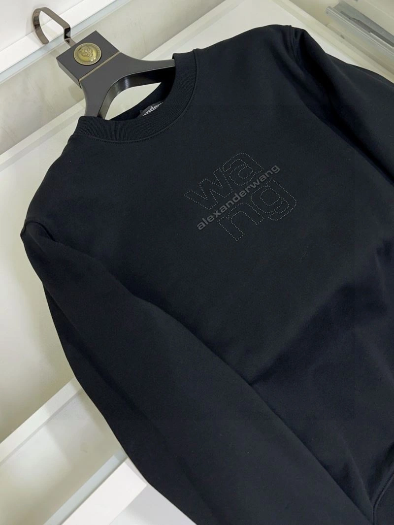 Alexander Wang Hoodies Colorful 95354