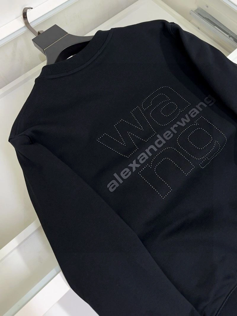 Alexander Wang Hoodies Colorful 95354