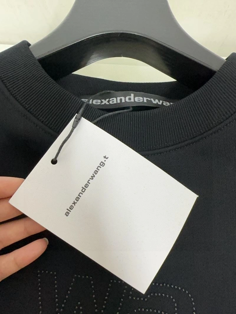 Alexander Wang Hoodies Colorful 95354