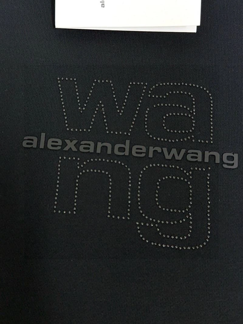 Alexander Wang Hoodies Colorful 95354