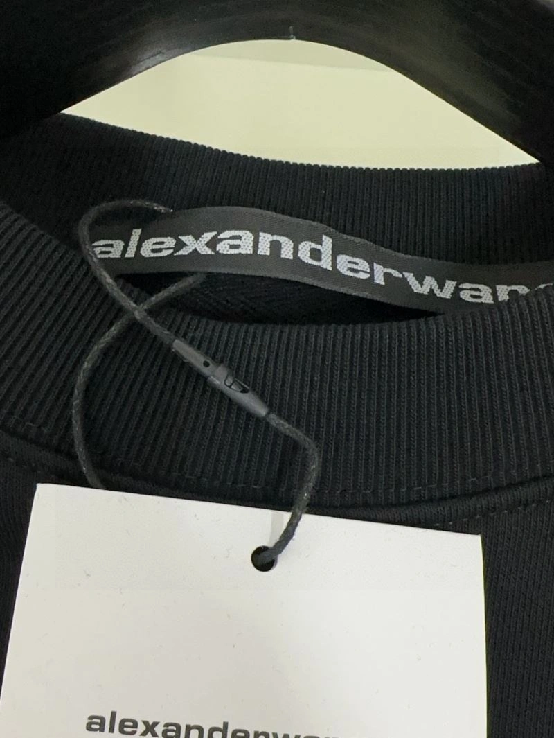Alexander Wang Hoodies Colorful 95354