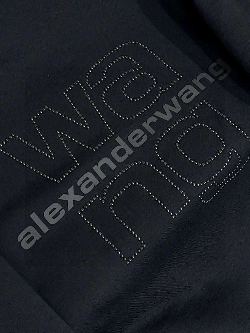 Alexander Wang Hoodies Colorful 95354