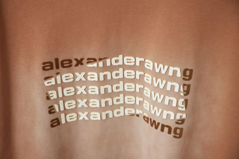 Alexander Wang T-Shirts HighQuality 95370