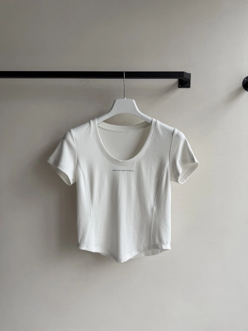 Premium Alexander Wang T-Shirts 95100