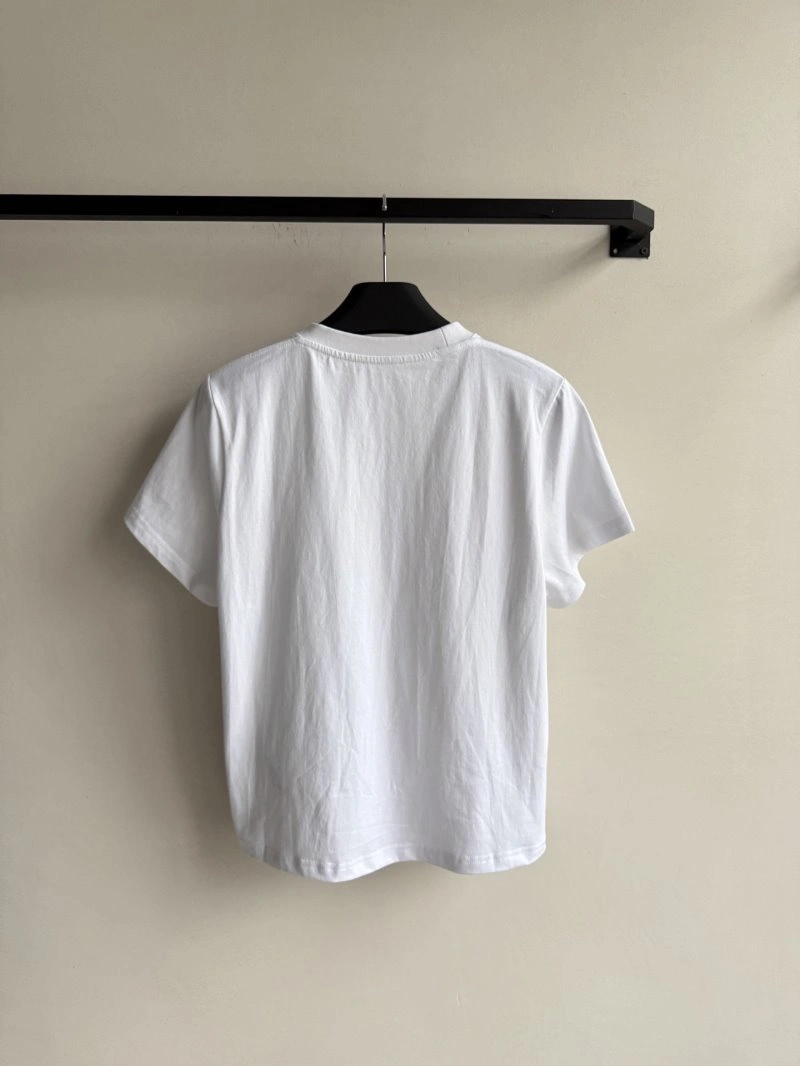 WellDesigned Alexander Wang T-Shirts 95088