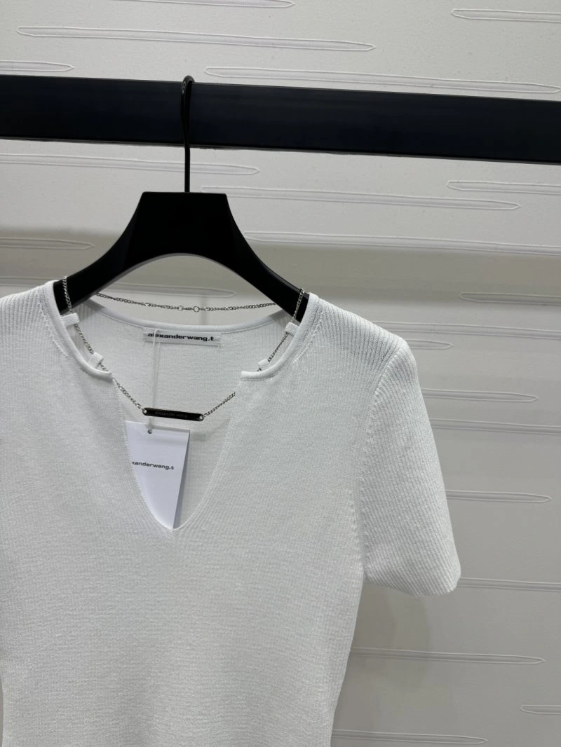 Popular Alexander Wang T-Shirts 95270