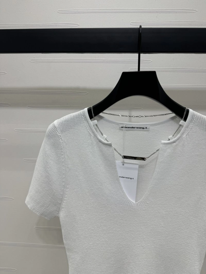 Popular Alexander Wang T-Shirts 95270