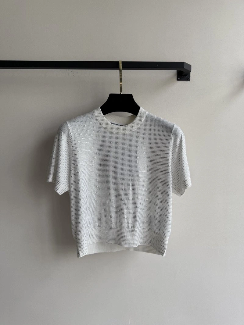 Packable Alexander Wang T-Shirts 95290