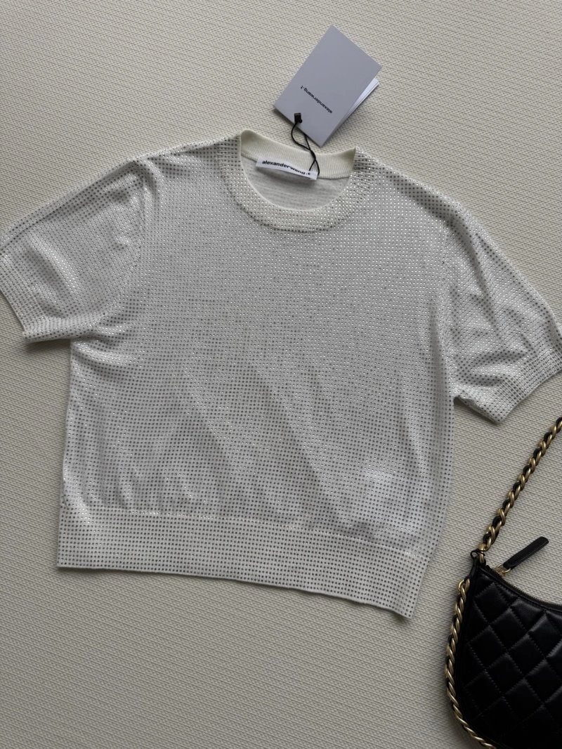 Packable Alexander Wang T-Shirts 95290