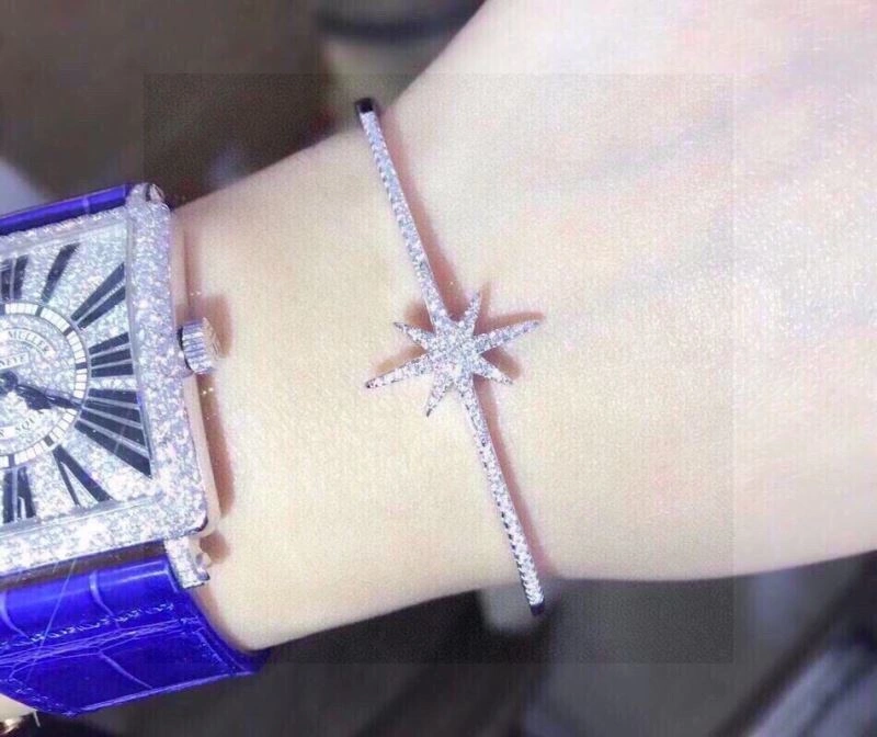 Apm Bracelets Classic 215300