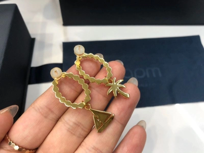 Apm Earrings Durable 215387