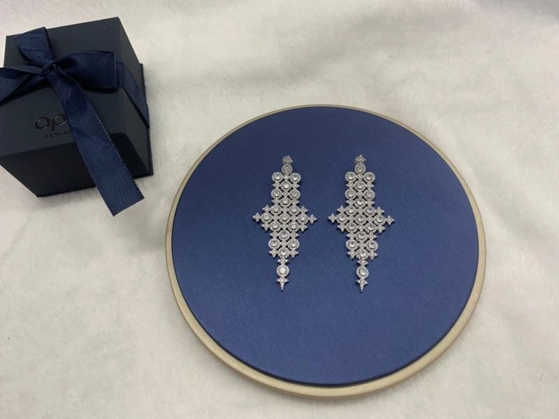 Apm Earrings Packable 215403